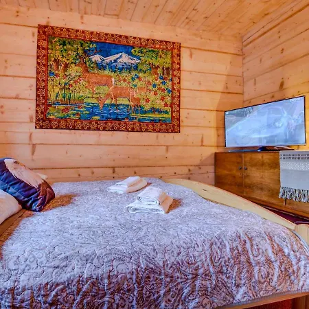Chalet Domki Vika Home I Wataha Home - Swietna Lokalizacja W Centrum Zakopanego - 10Min Pieszo Do Krupowek! *