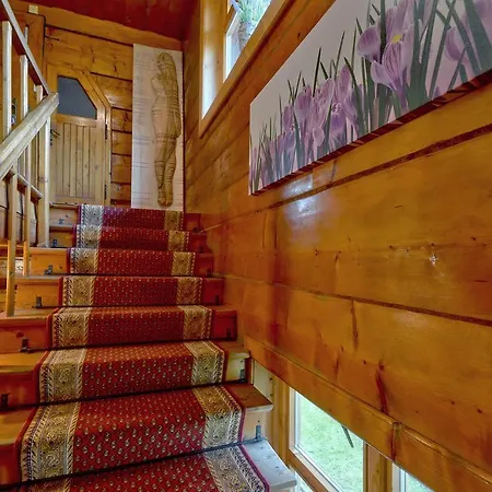 Chalet Domki Vika Home I Wataha Home - Swietna Lokalizacja W Centrum Zakopanego - 10Min Pieszo Do Krupowek!